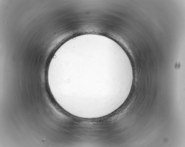 X0000093150629200710241403