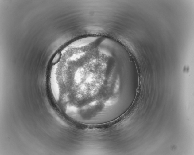 X0000093150630200710241403