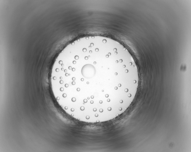 X0000093150633200710241403