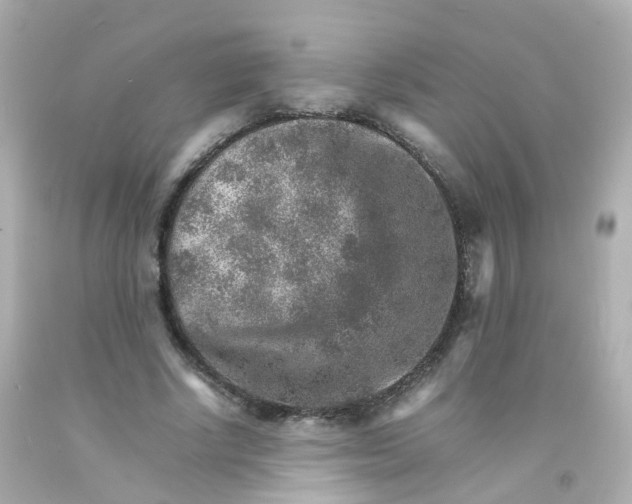 X0000093150634200710241403