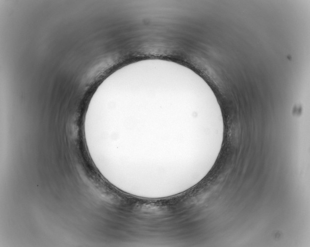 X0000093150635200710241403