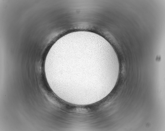 X0000093150636200710241403