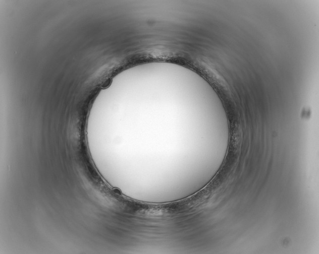 X0000093150639200710241403