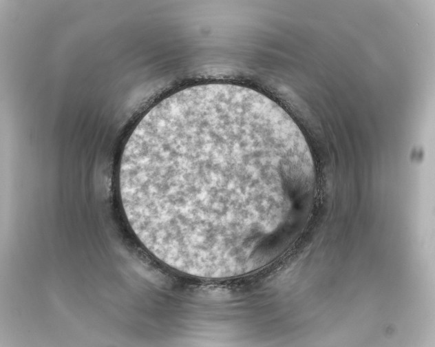 X0000093150640200710241403