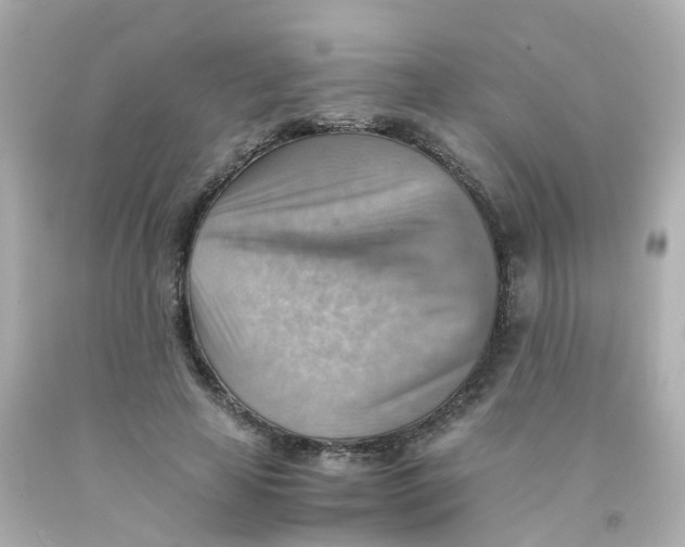 X0000093150641200710241403