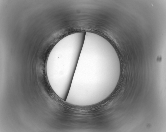 X0000093150643200710241403