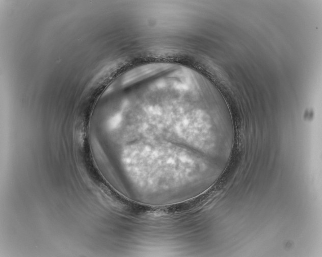 X0000093150644200710241403