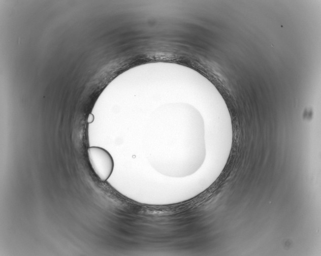 X0000093150645200710241403