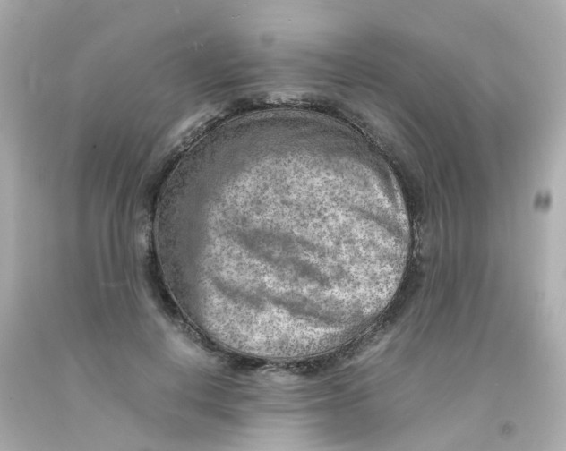 X0000093150648200710241403