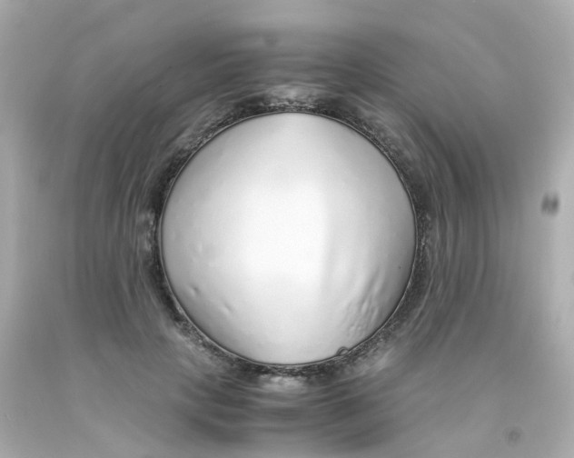 X0000093150649200710241403