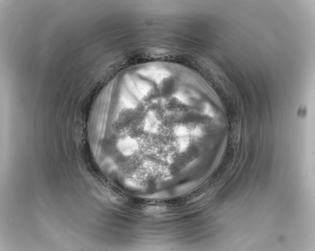 X0000093150653200710241403