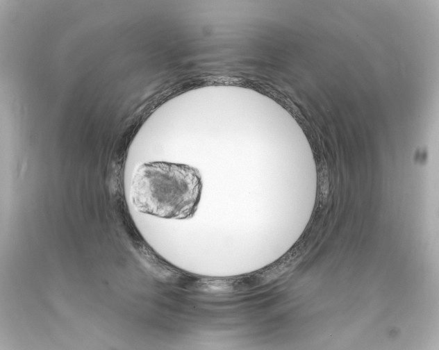 X0000093150658200710241403