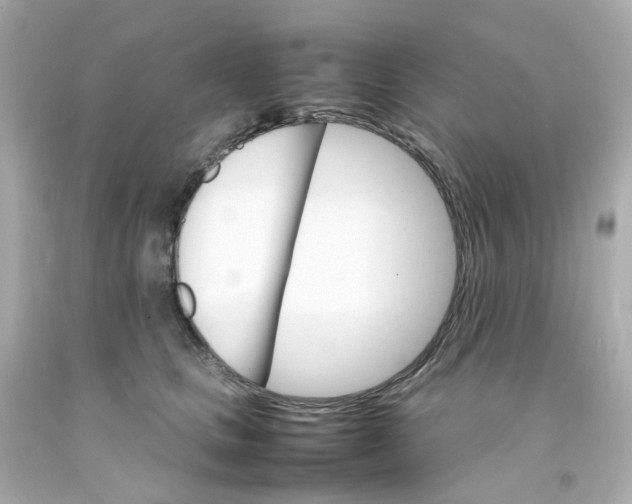 X0000093150661200710241403