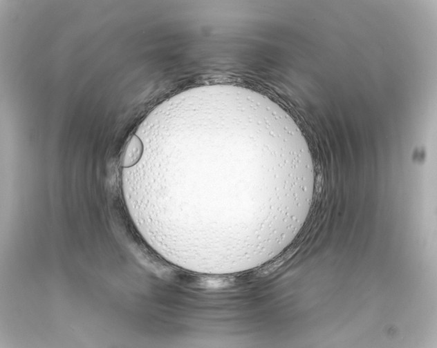 X0000093150662200710241403