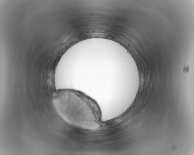 X0000093150663200710241403