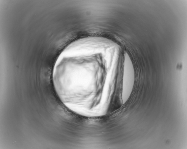 X0000093150664200710241403