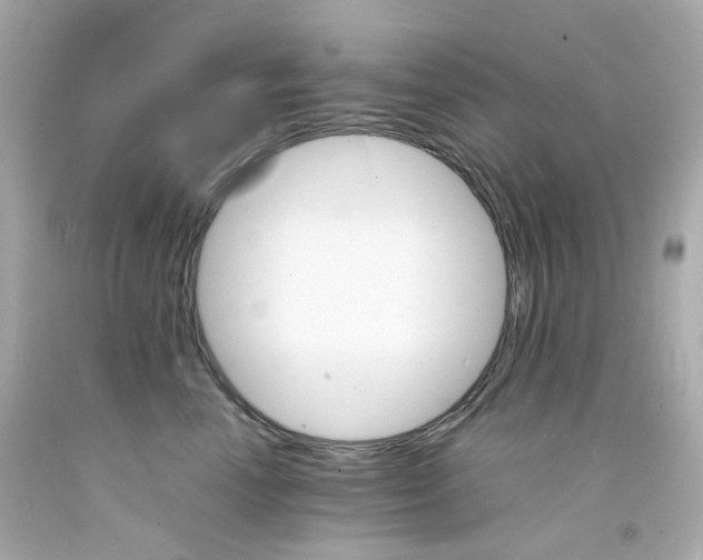 X0000093150666200710241404