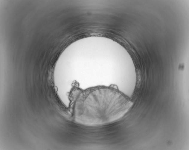 X0000093150667200710241404