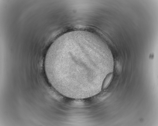 X0000093150668200710241404