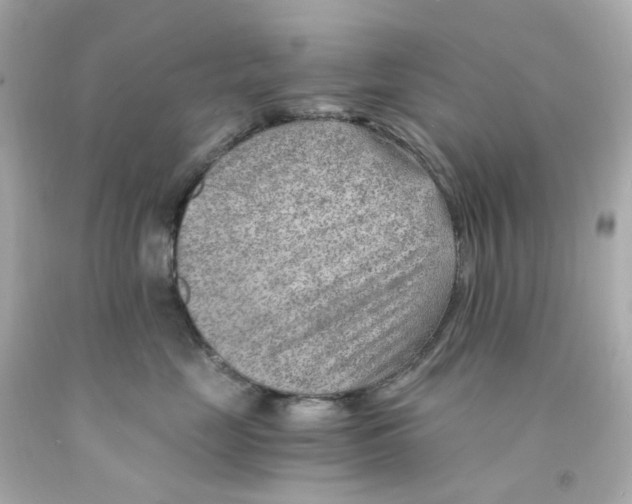 X0000093150669200710241404