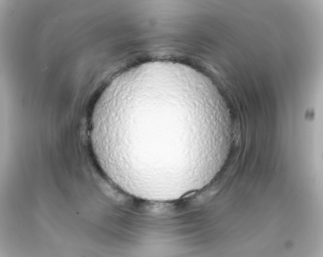 X0000093150670200710241404