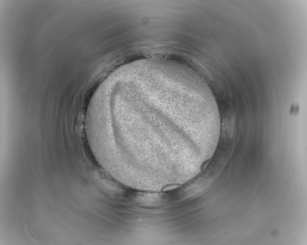 X0000093150671200710241404