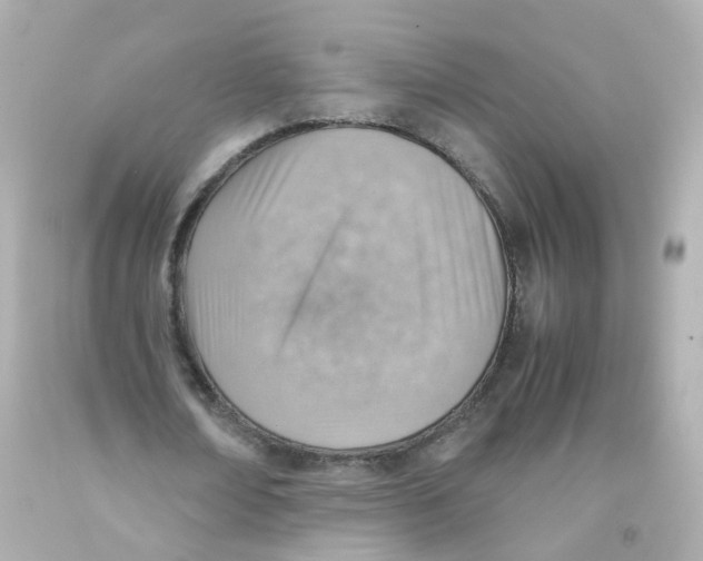 X0000093150674200710241403