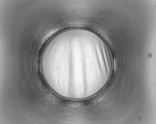 X0000093150675200710241403