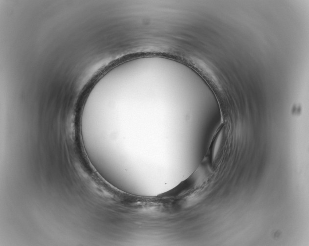 X0000093150676200710241403