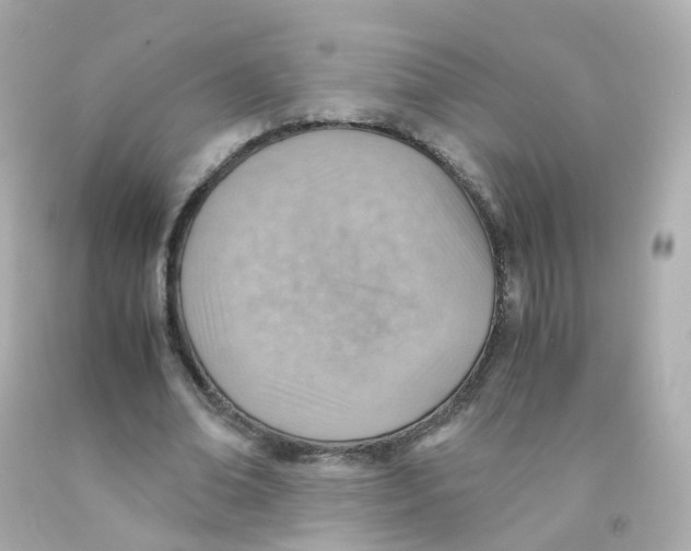 X0000093150678200710241403