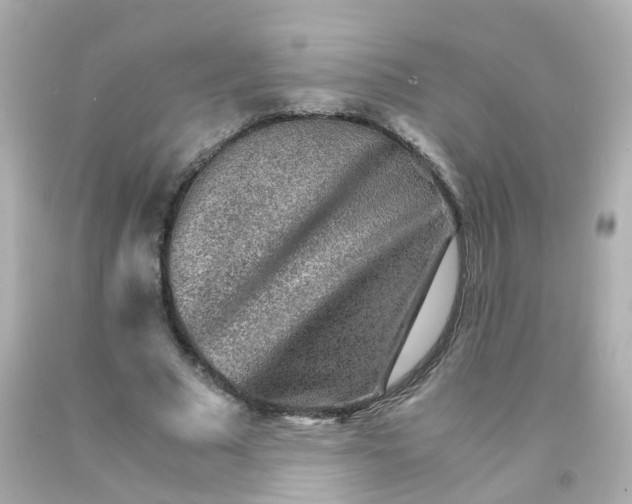 X0000093150681200710241403