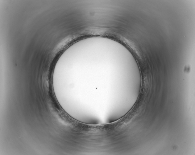 X0000093150682200710241403