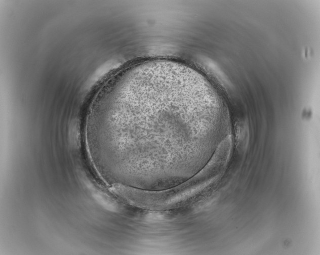 X0000093150684200710241403