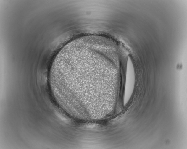 X0000093150685200710241403