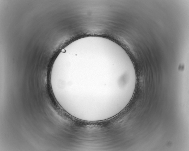 X0000093150686200710241403