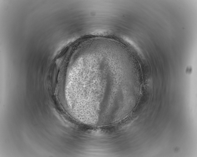 X0000093150688200710241403