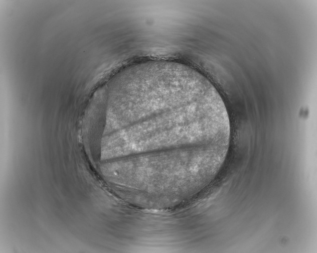 X0000093150689200710241403