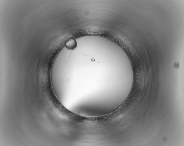 X0000093150690200710241403