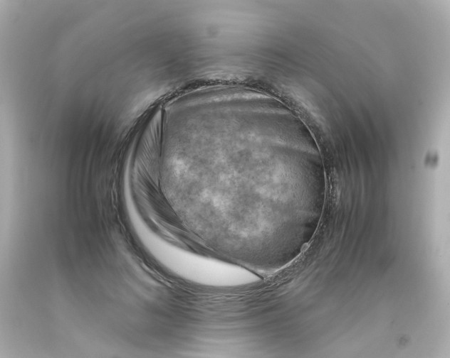 X0000093150692200710241403