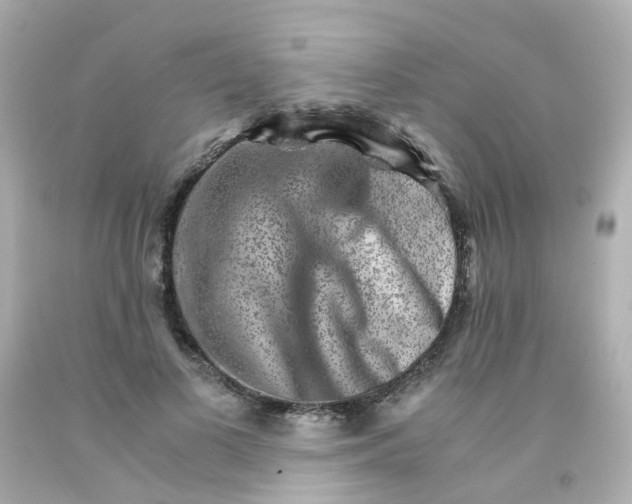 X0000093150693200710241403