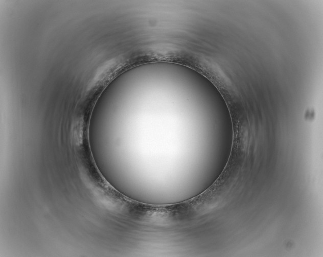 X0000093150694200710241403