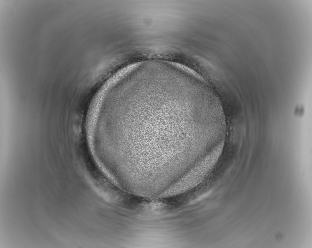 X0000093150695200710241403