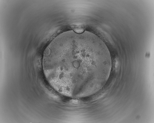 X0000093150699200710241403