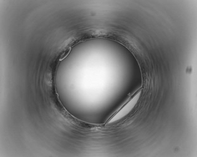 X0000093150700200710241403