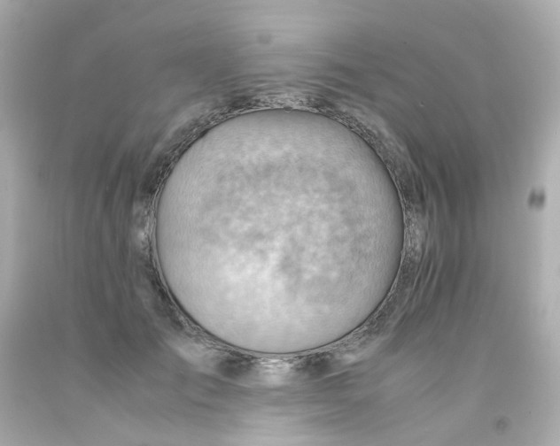 X0000093150701200710241403