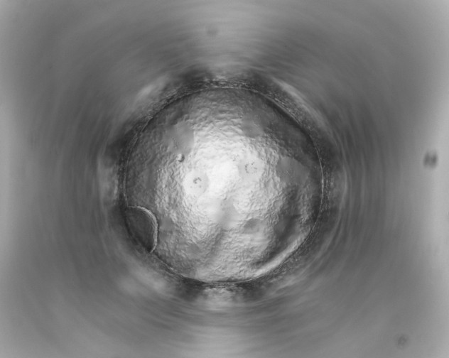 X0000093150703200710241403