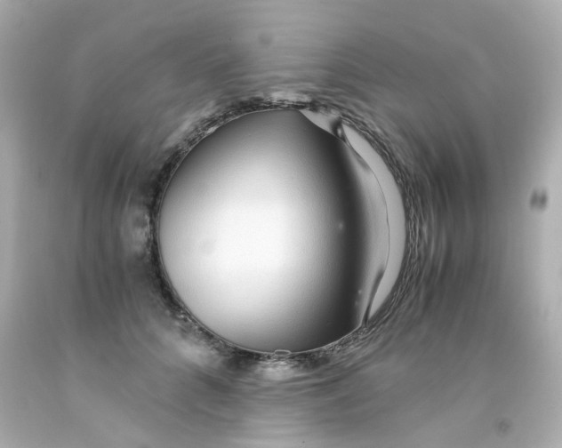 X0000093150704200710241403