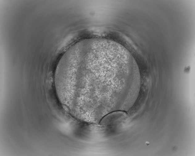 X0000093150707200710241403