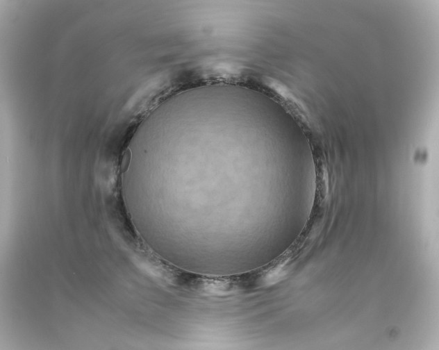 X0000093150709200710241403