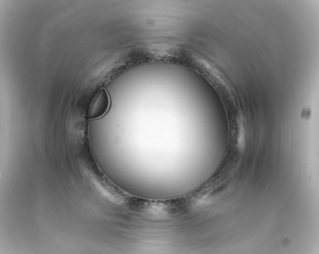 X0000093150710200710241403